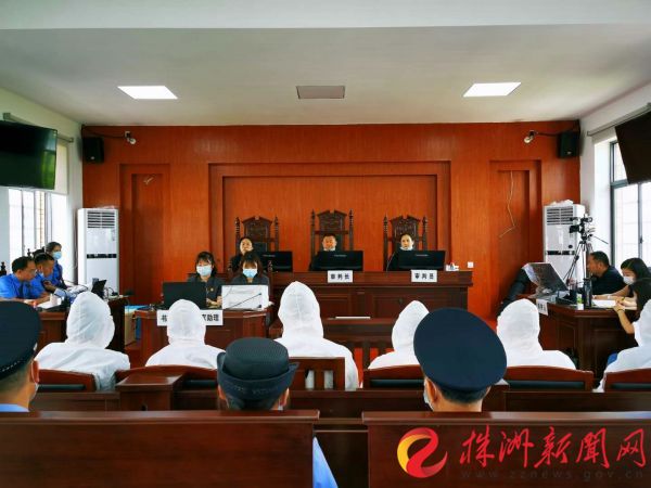 炎陵宣判一起31人涉黑案主犯获刑17年